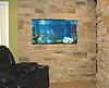 basement fishtank